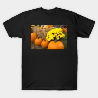 pumpkins in the hay T-Shirt